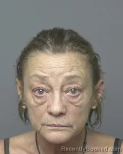 Mugshot of Stacy Lynn Hoff booked in Dubuque County, Iowa on July 27, 2026