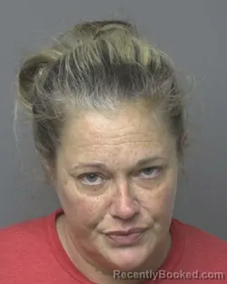Mugshot of Lesley Anne Shepherd booked in Dubuque County, Iowa on July 27, 2026