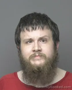 Mugshot of JOHN HENRY MCPOLAND booked in Dubuque County, Iowa on July 29, 2026