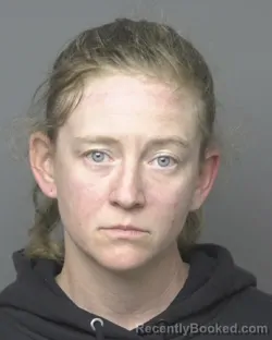 Mugshot of Andrea Lynn Hansen booked in Dubuque County, Iowa on August 1, 2026