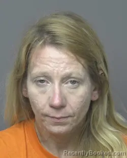 Mugshot of Renee Jean Anderson booked in Dubuque County, Iowa on August 6, 2026