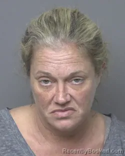 Mugshot of Lesley Anne Shepherd booked in Dubuque County, Iowa on August 16, 2026
