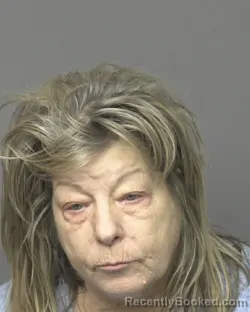 Mugshot of Rae Anne Stefanick booked in Dubuque County, Iowa on August 25, 2026