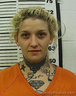 Most wanted individual Sara Elizabeth Barnes – Cherokee County, Kansas