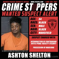 Most wanted individual Ashton Shelton – DeSoto Parish, Louisiana