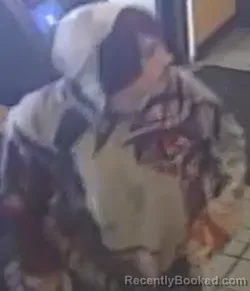 Most wanted individual Suspect Theft Of Property – Baxter County, Arkansas