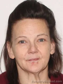 Most wanted individual Janna Lea Davis – Boone County, Arkansas